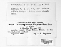 Image Associated With the Occurence